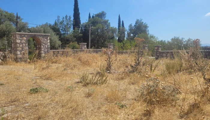 WhatsApp Image 2025-08-10 at 15.01.15 (5).jpg