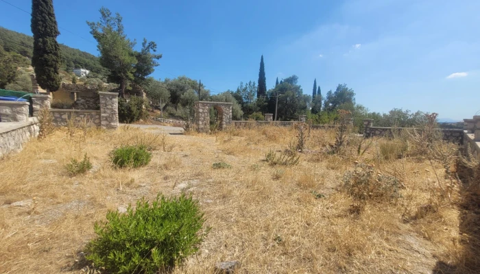 WhatsApp Image 2025-08-10 at 15.01.15 (4).jpg