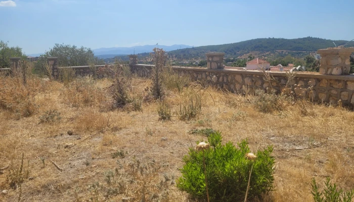 WhatsApp Image 2025-08-10 at 15.01.15 (2).jpg