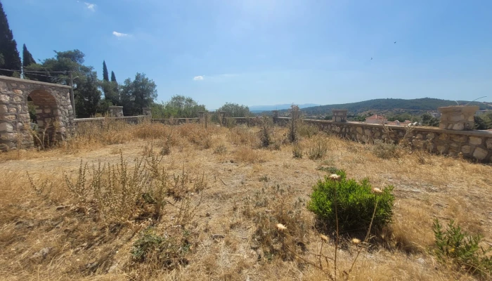 WhatsApp Image 2025-08-10 at 15.01.15 (1).jpg