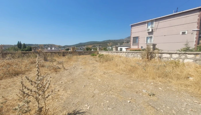 WhatsApp Image 2025-08-10 at 15.01.15.jpg