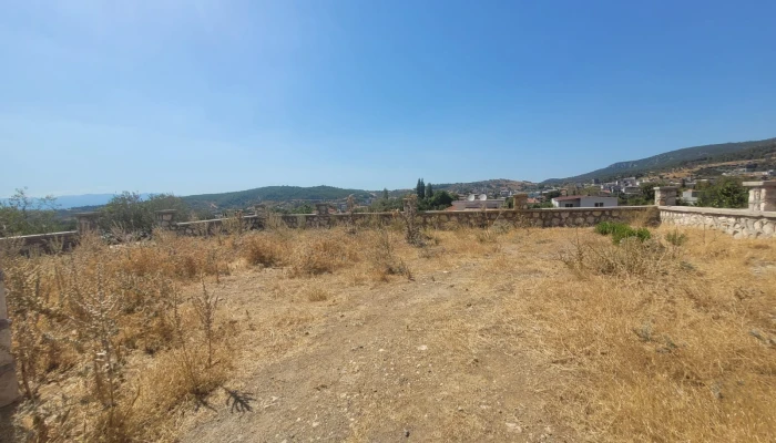 WhatsApp Image 2025-08-10 at 15.01.14 (5).jpg