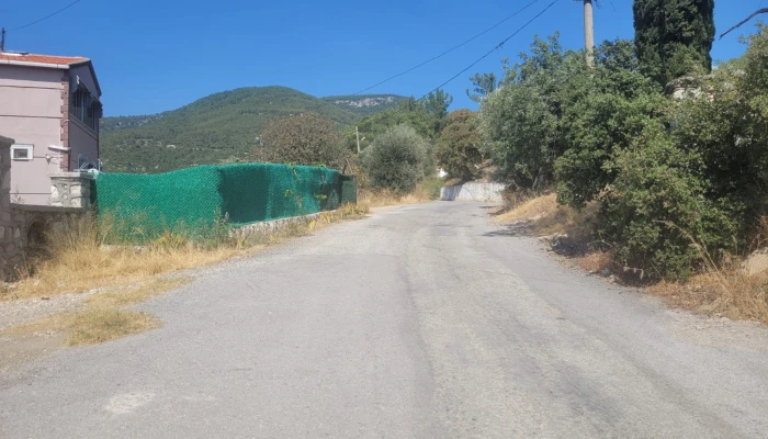 WhatsApp Image 2025-08-10 at 15.01.06.jpg