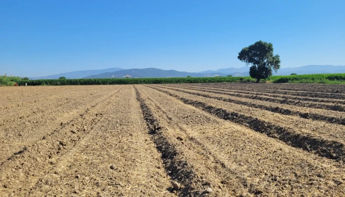 WhatsApp Image 2025-07-07 at 11.34.08 (4).jpg