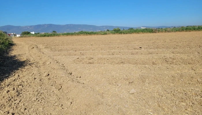 WhatsApp Image 2025-07-07 at 11.34.08 (2).jpg