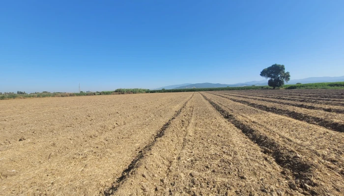 WhatsApp Image 2025-07-07 at 11.34.08.jpg