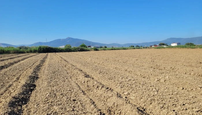 WhatsApp Image 2025-07-07 at 11.34.07 (2).jpg