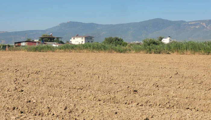 WhatsApp Image 2025-07-07 at 11.34.07 (1).jpg