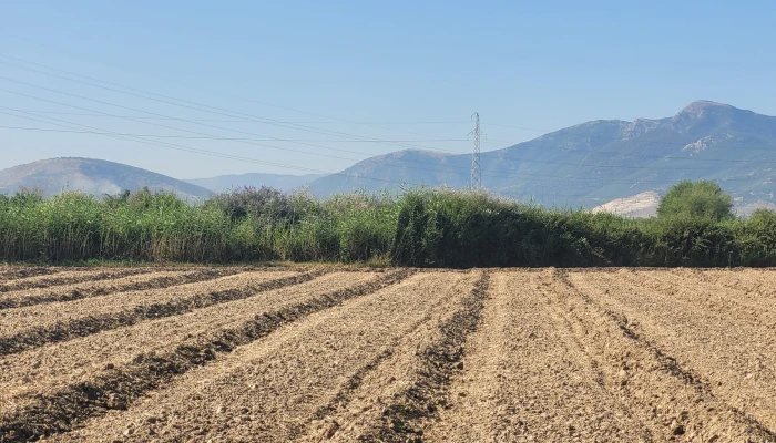 WhatsApp Image 2025-07-07 at 11.34.07.jpg