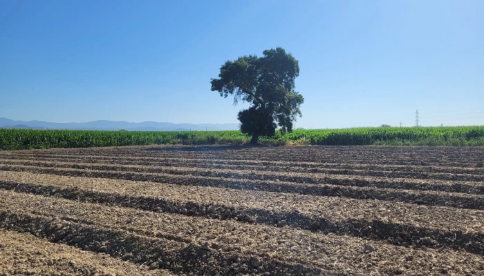 WhatsApp Image 2025-07-07 at 11.34.06 (3).jpg