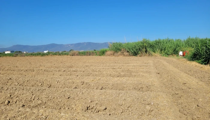 WhatsApp Image 2025-07-07 at 11.34.05 (4).jpg