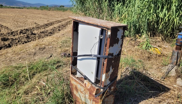 WhatsApp Image 2025-07-07 at 11.34.04 (3).jpg