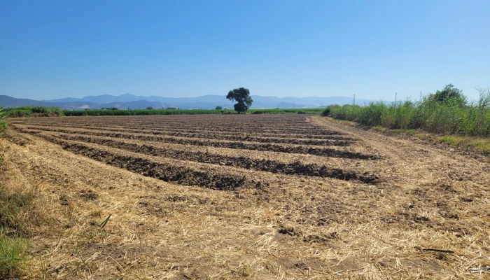 WhatsApp Image 2025-07-07 at 11.34.04 (1).jpg