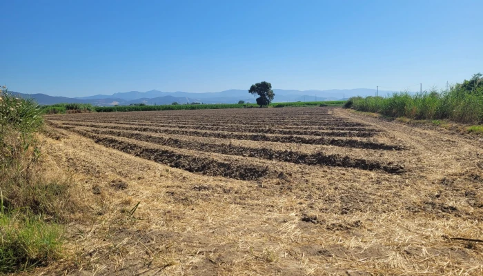 WhatsApp Image 2025-07-07 at 11.34.04.jpg