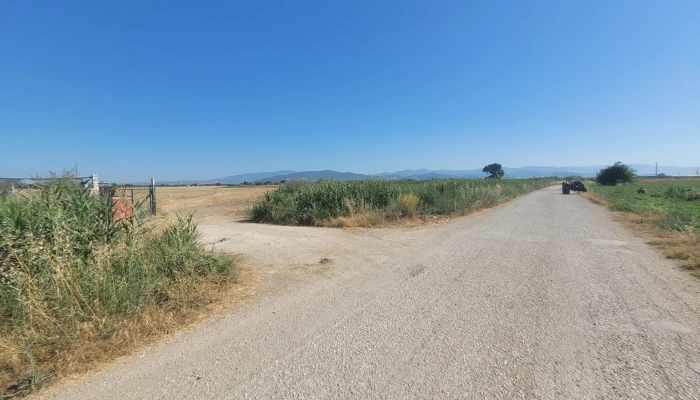 WhatsApp Image 2025-07-07 at 11.34.03.jpg