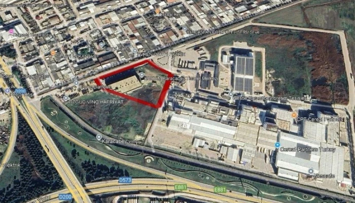 WhatsApp Image 2025-08-15 at 02.17.33.jpg