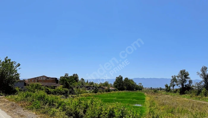 Ekran görüntüsü 2025-08-15 123105.png