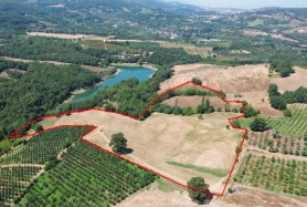 KESTEL AKSU'DA KÖYE YAKIN YATIRIMLIK 54.709 M2 GÖL YANI TARLA