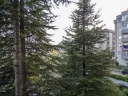 DSC08336.jpg