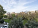 DSC08347.jpg