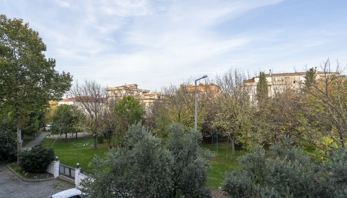 DSC08347.jpg