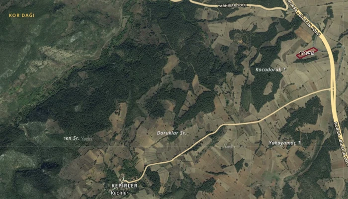 Görüntü 22.08.2025 17.25.jpg