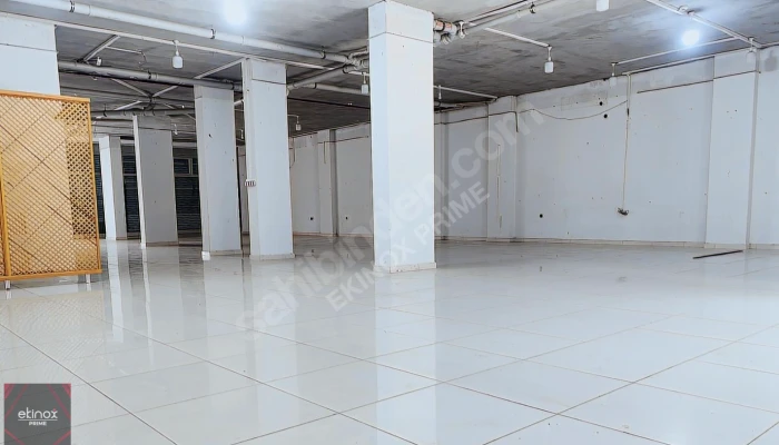 Ekran görüntüsü 2025-08-22 205024.png