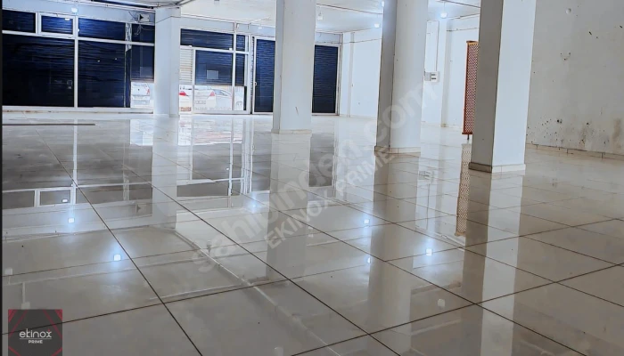 Ekran görüntüsü 2025-08-22 205029.png