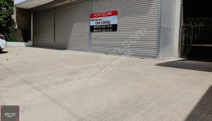 Ekran görüntüsü 2025-08-22 205046.png