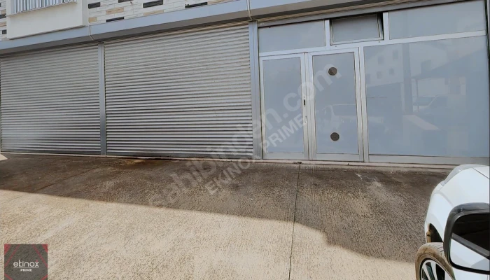 Ekran görüntüsü 2025-08-22 205052.png