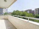 DSC07436.jpg