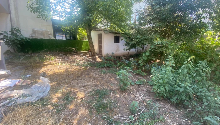 WhatsApp Image 2025-08-22 at 14.37.07.jpg