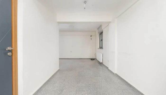 WhatsApp Image 2025-02-25 at 10.08.25.jpg