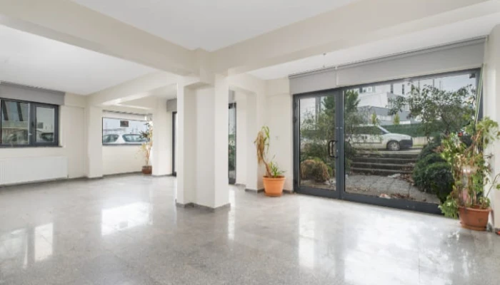 WhatsApp Image 2025-02-25 at 10.08.26 (1).jpg