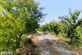 MANİSA SANCAKLIBOZKÖY'de SATILIK 2362 m2 TEK TAPU