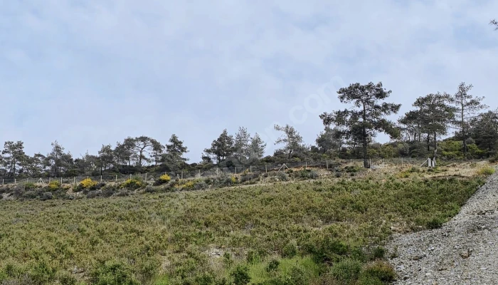 Ekran Resmi 2025-09-09 13.12.40.png