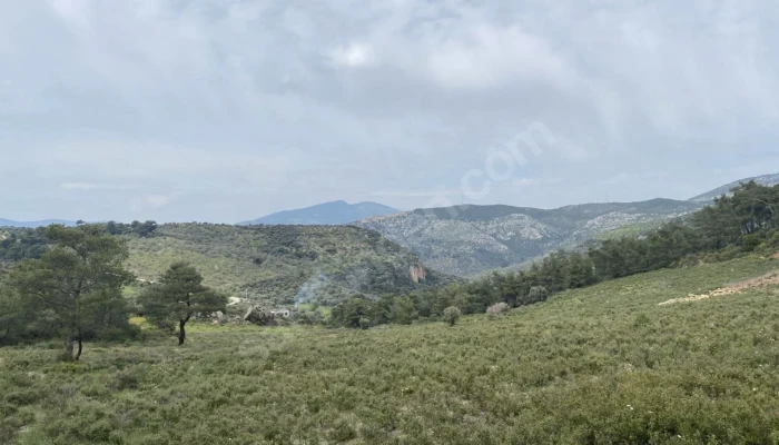 Ekran Resmi 2025-09-09 13.12.43.png