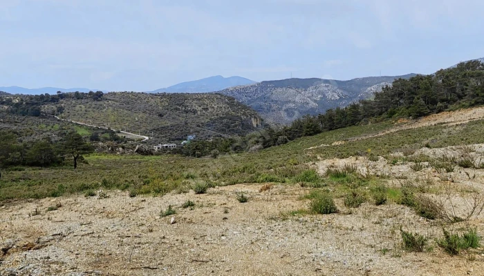 Ekran Resmi 2025-09-09 13.12.46.png