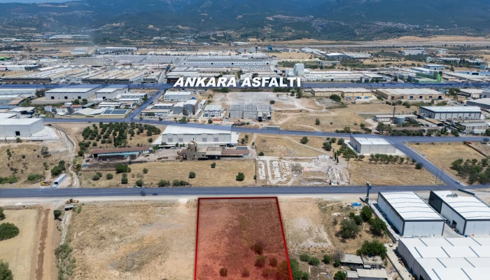 DJI_20250711123654_0073_D (1).jpg