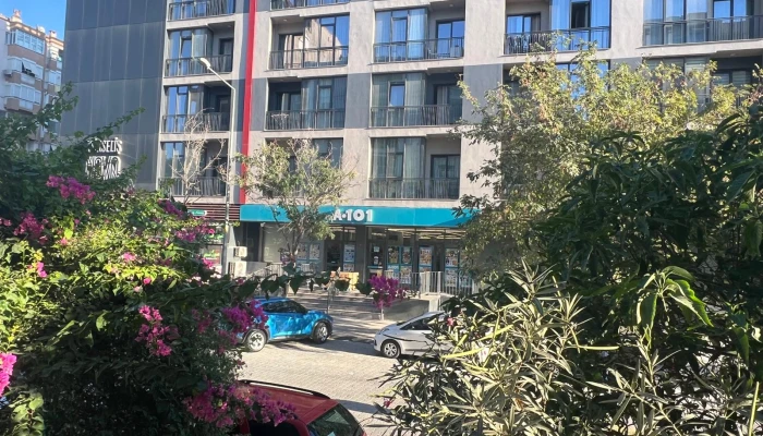 WhatsApp Image 2025-09-11 at 22.13.06.jpg