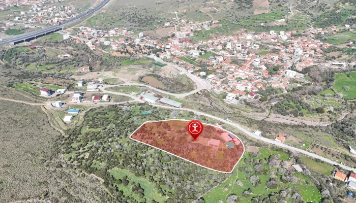 WhatsApp Image 2025-09-11 at 22.48.50 (1).jpg