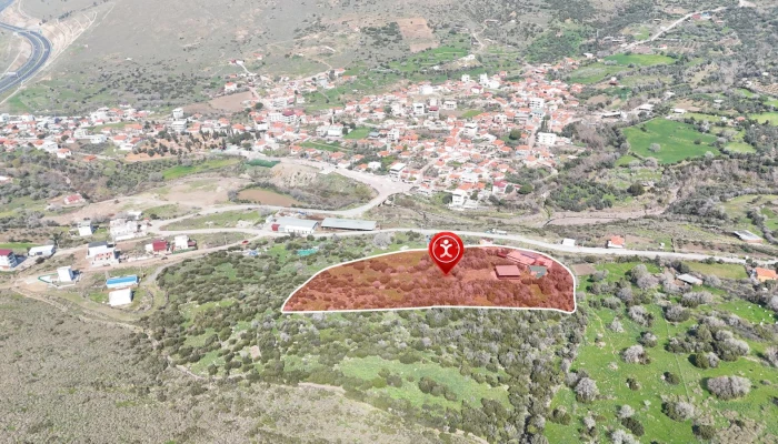 WhatsApp Image 2025-09-11 at 22.48.50.jpg