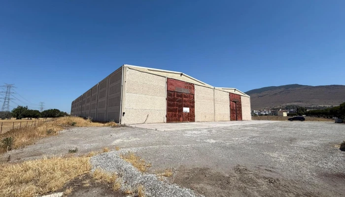 WhatsApp Image 2025-09-11 at 23.01.05 (1).jpg