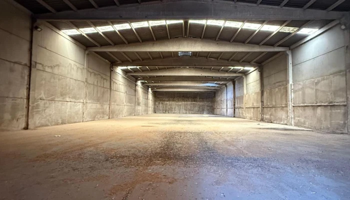 WhatsApp Image 2025-09-11 at 23.01.05 (2).jpg