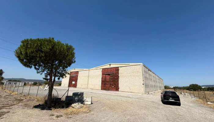 WhatsApp Image 2025-09-11 at 23.01.05 (3).jpg