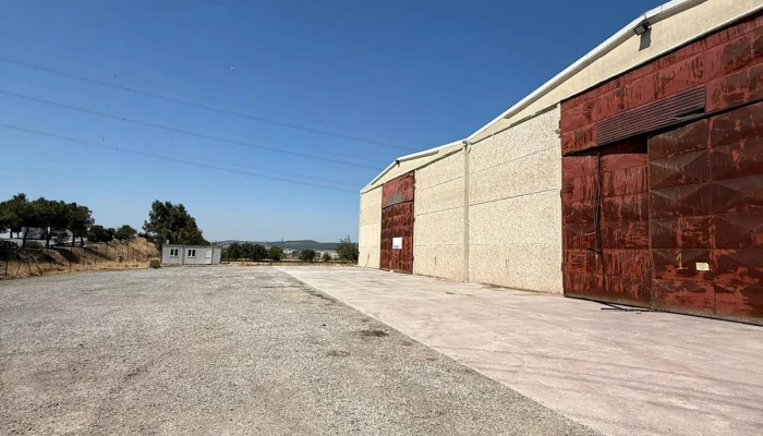 WhatsApp Image 2025-09-11 at 23.01.05.jpg