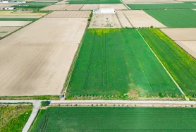 İZMİR MENEMEN SEYREK YOLA CEPHELİ 18 DÖNÜM SATILIK TARLA