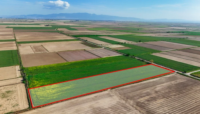 DJI_20250419170437_0007_D kopya.jpg