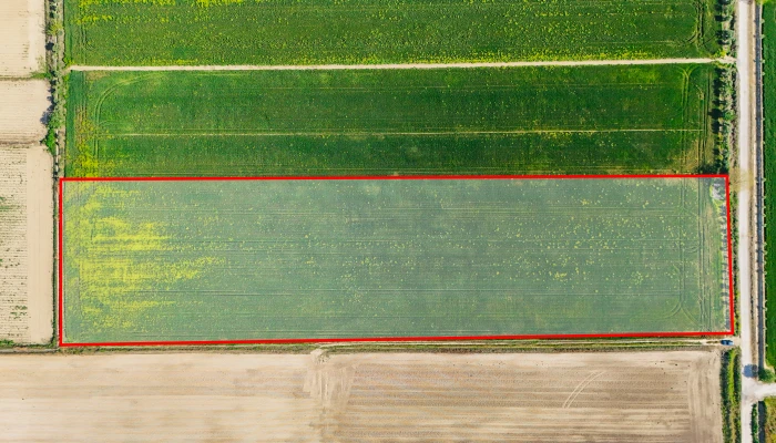 DJI_20250419170532_0009_D kopya.jpg