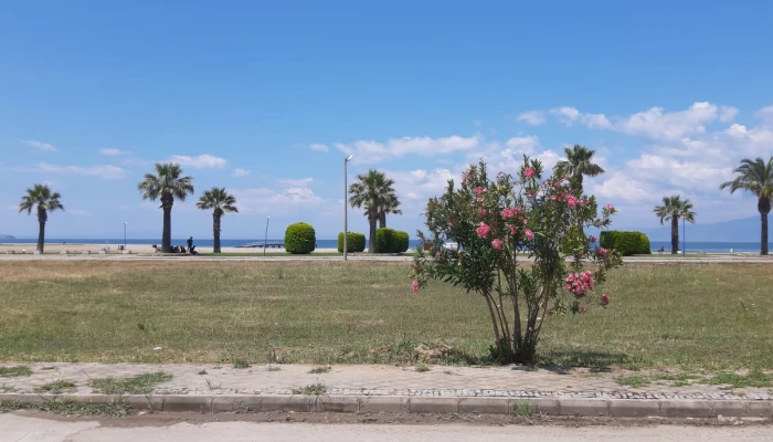 WhatsApp Image 2022-03-31 at 18.13.24.jpg